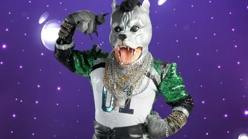 ¿Quién es la Máscara? ya expuso a Pitbull y los jurados no lo podían creer.