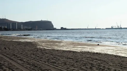 Arica
