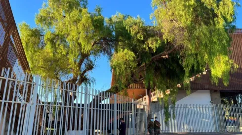 El pimiento que se encuentra al borde de la cancha en el estadio Zorros del Desierto por primera vez podrá presenciar un partido por Eliminatorias Sudamericanas para Qatar 2022