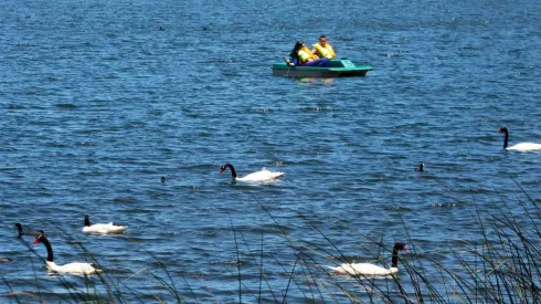 Son 25 las comunas que retroceden a Fase 2.