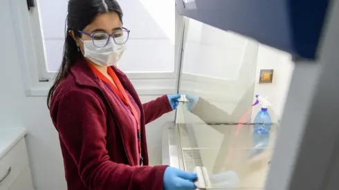 Se podrá postular al IFE Laboral hasta el mes de marzo.