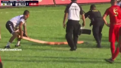 Jugadores y personal del estadio intentan capturar a la serpiente