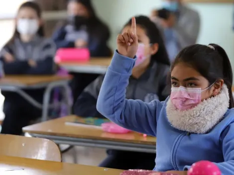 ¿En qué fases del Paso a Paso hay clases presenciales?