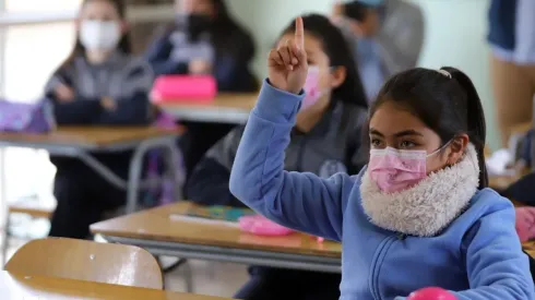 ¿En qué fases del Paso a Paso hay clases presenciales?