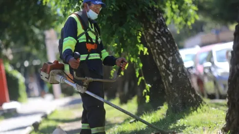 Bono Formalización de Trabajo