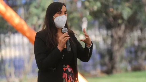 ¿Qué pasará con Estado de Excepción del sur en Gobierno de Boric?