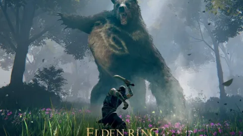 El juego fue distribuido por Bandai Namco