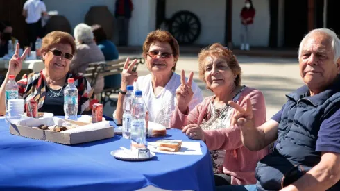 Bonos disponibles adultos mayores