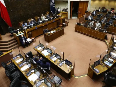 ¿Cuáles son los nuevos senadores?