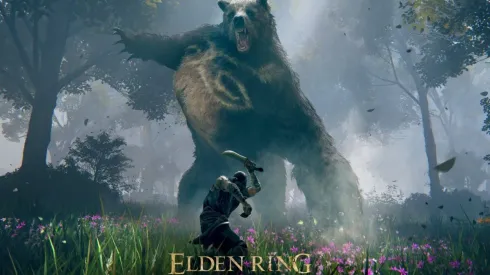 El juego fue desarrollado por la empresa From Software