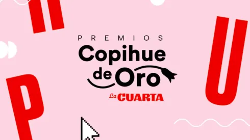 El Copihue de Oro 2022 reconocerá lo más destacado del mundo de la televisión, el espectáculo e internet.
