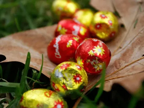 Pascua del conejo 2022 | ¿Cuándo se celebra en Chile y cuál es su origen?