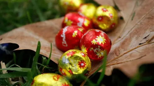 Pascua del conejo 2022 | ¿Cuándo se celebra en Chile y cuál es su origen?