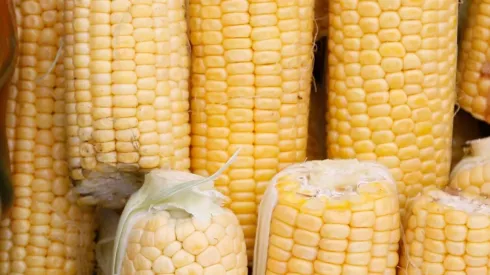 Conoce los detalles de la preparación.