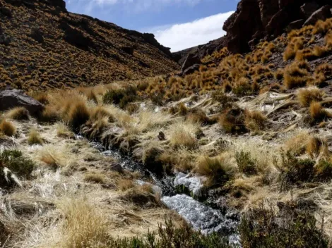 ¿Por qué se enfrentan Chile y Bolivia ante la justicia en La Haya?