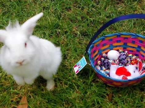 ¿Cómo hacer una canasta para los huevos de chocolate?