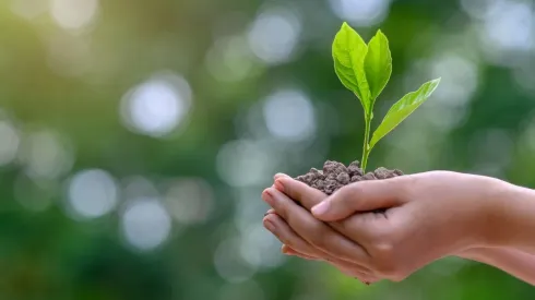 Por qué se celebra el Día de la Tierra