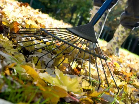 ¿Cómo estará el clima en Santiago esta semana?