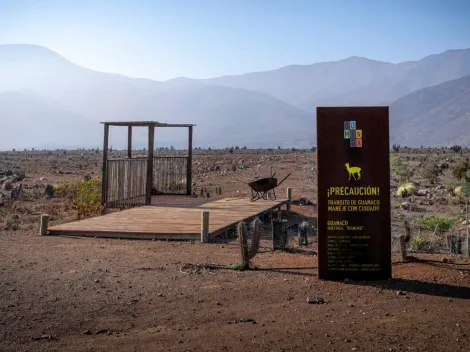 Inversionistas chinos buscan comprar proyecto Dominga