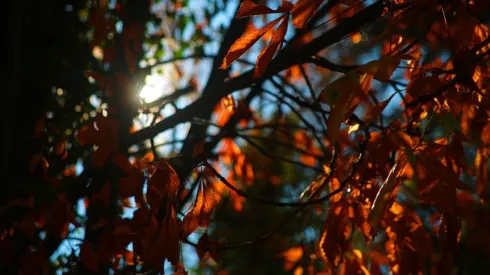 Pronóstico del tiempo Santiago