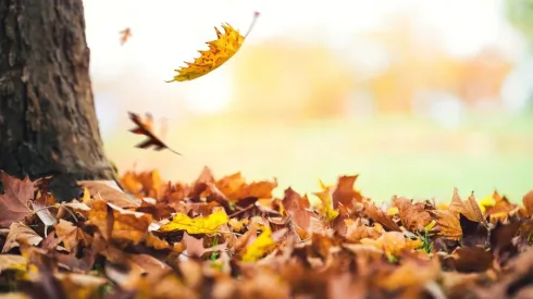 ¿Cómo estará el clima en la capital?