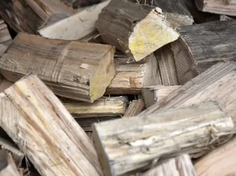 ¿Cuándo se paga el Bono Leña y cuánto dinero es?