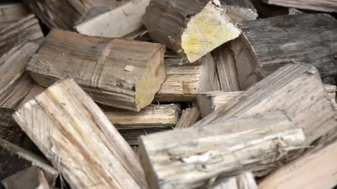 ¿Cuándo se paga el Bono Leña y cuánto dinero es?