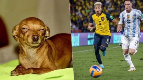 La mala suerte de Byron Castillo para jugar de visita con Ecuador.