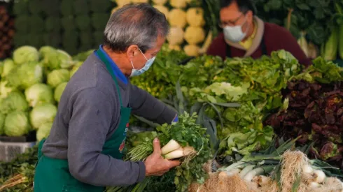 Revisa aquí los detalles de la Canasta Básica Protegida.