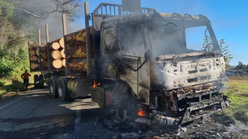 El robo de madera provocó una crisis entre el SII y la gobernación del Biobío.