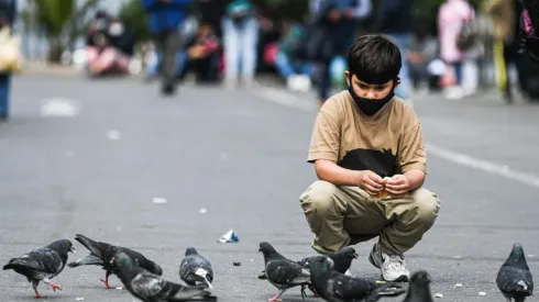 ¿Cómo se postula al Bono Control Niño Sano y qué requisitos tiene?
