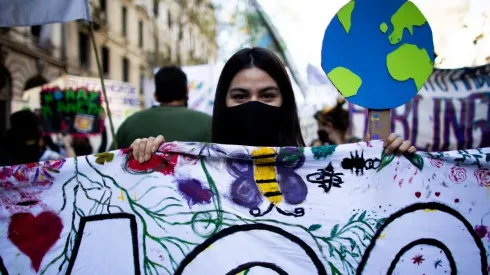 ¿Por qué se celebra el Día del Medio Ambiente?