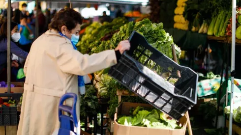 El Instituto de Previsión Social