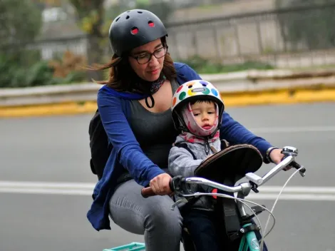¿Cómo ver el estado de mi postulación al Bono Protege y cuándo se paga?