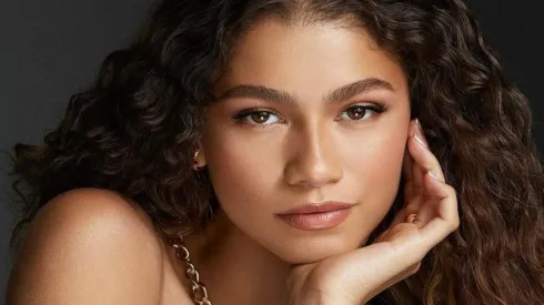 Zendaya está en pleno ascenso en el universo hollywoodense.