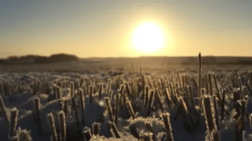 Día de los Pueblos Indígenas