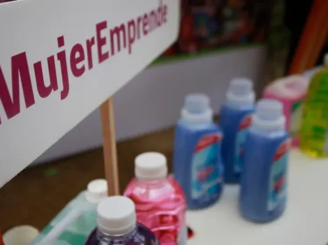 ¿Cuándo salen los resultados de Capital Abeja 2022?