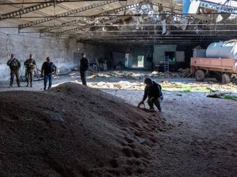 OMS revela contactos con Rusia y Ucrania para destrabar exportaciones de alimentos