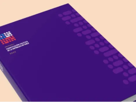 Nueva Constitución | ¿Cuántas páginas y árticulos tiene la propuesta final?