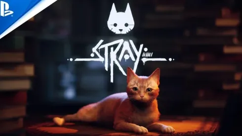 Stray está disponible para PS4 y PS5