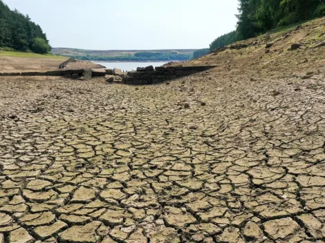 Ola de calor en Europa deja más de 1.700 fallecidos