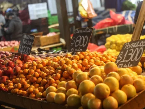 Revisa con tu RUT si recibes el Bono Canasta Básica 2022