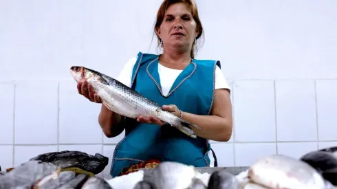 ¿Cómo se postula al Bono Mujer Trabajadora y qué requisitos tiene?