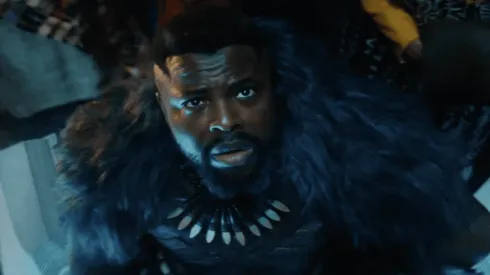 ¿Quién será el nuevo Pantera Negra?