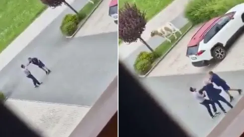 La pelea entre el técnico y el director deportivo del Torino