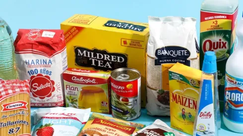 Revisa con tu RUT si recibes el Bono Canasta Familiar de julio