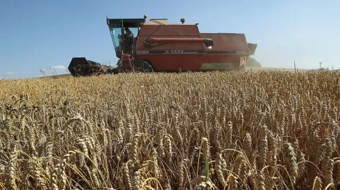 Precios de los alimentos disminuyen 8,6% a nivel mundial