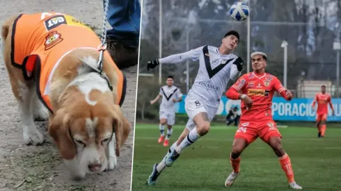 Pepe se robó las miradas en el empate de Cobreloa y Santiago Morning en La Pintana.