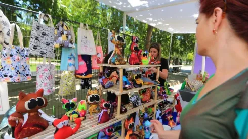 ¿Quiénes pueden recibir el Subsidio Mipymes?