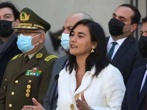 ¿Qué es el Ministerio de Seguridad y qué funciones cumpliría?